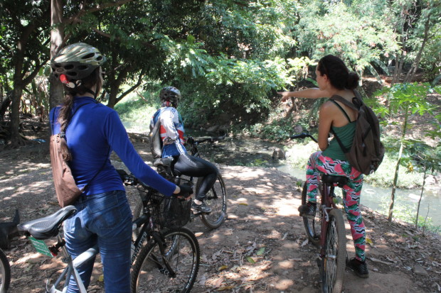 Excursão Urbana: Bike Tour Capim Puba